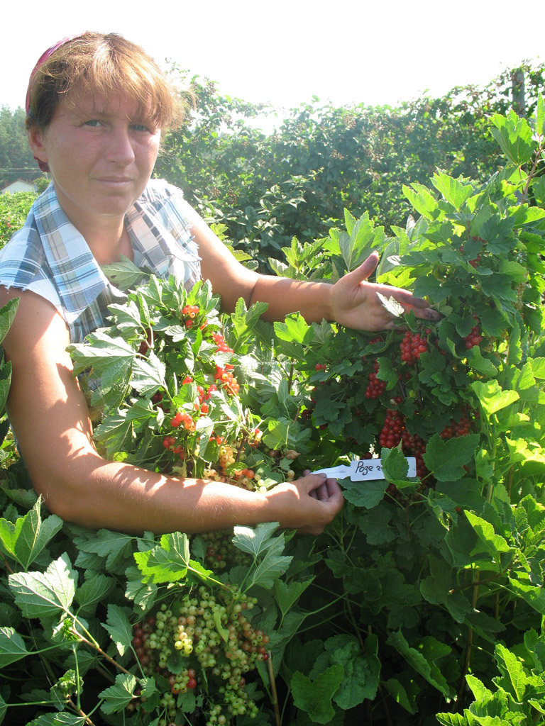 Інше з розплідника
